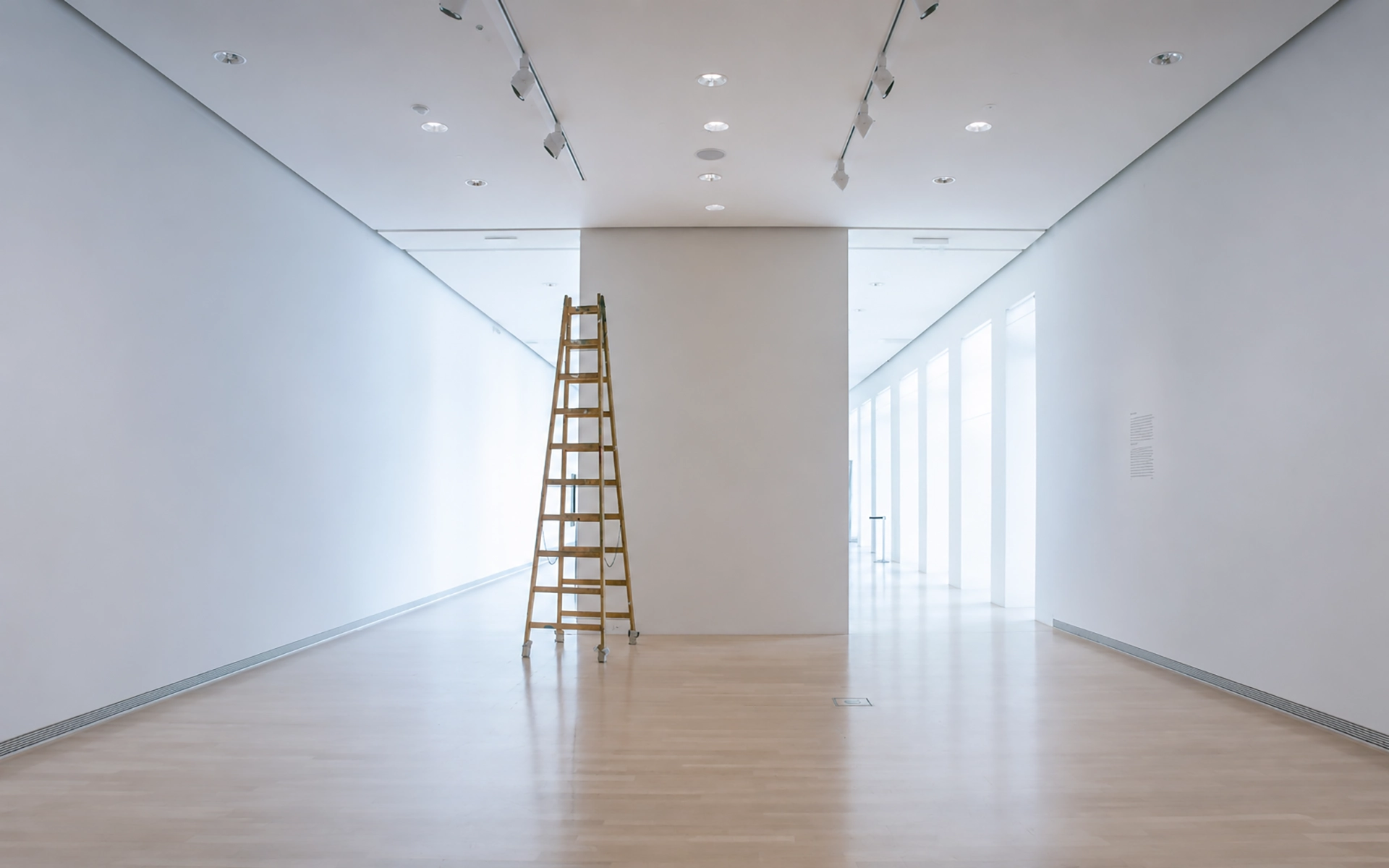 Espacio interior blanco con cielo falso e iluminación